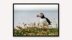 Call of the Sea by Gen Caron, black float frame