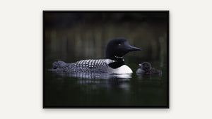 Missy Mandel, Safe Passage, black float frame