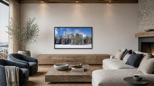 After the Snow by Jim Neale, 48 x 27 in, black float frame
