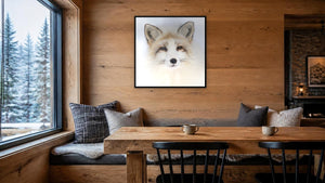 Arctic Fox by Martin Elliott, 36 x 36 in, black float frame