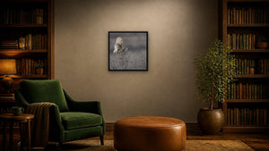 Barn owl banking over stems by Martin Elliott, 20 x 20 in, black float frame