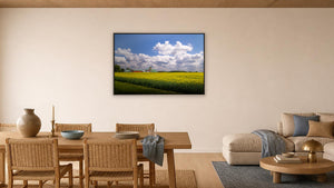 Canadian Gold by Jennifer Hottinger-Sloan, 48 x 32 in, whitewashed wood float frame