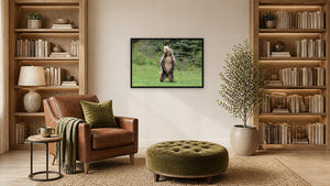 Dandelion Lookout by Nancy Wessely, 36 x 24 in, black float frame