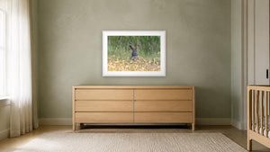 Ear-resistible by Christy Grinton, 30 x 20 in, white paper frame