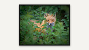 A Glimpse Through Green by Jim Neale, black float frame [fin:float:Black]