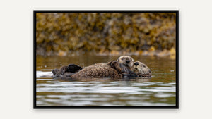 A Mother's Love by Christy Grinton, black float frame [fin:float:Black]