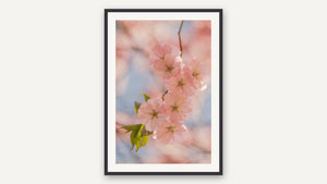A Welcome Burst of Spring by Lisa Robertson, black picture frame [fin:paper:Black]
