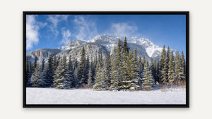 After the Snow by Jim Neale, black float frame [fin:float:Black]