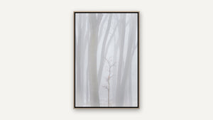 Among the Trees by Lisa Robertson, whitewashed wood float frame [fin:float:Whitewashed Wood]