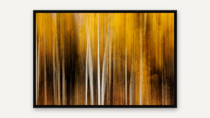 Autumn in Motion by Harry Collins, black float frame [fin:float:Black]