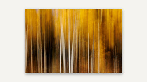 Autumn in Motion by Harry Collins, print only [fin:none]