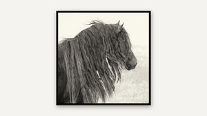 Before the Wind by Debra Garside, black float frame [fin:float:Black]