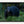 Black bear in clover by Martin Elliott, black float frame [fin:float:Black]