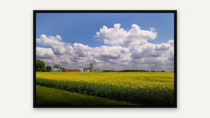 Canadian Gold by Jennifer Hottinger-Sloan, black float frame [fin:float:Black]