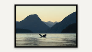 Coastal by Debra Garside, black float frame [fin:float:Black]