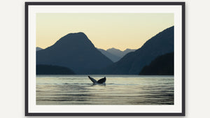 Coastal by Debra Garside, black picture frame [fin:paper:Black]
