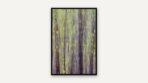 Dance of Fall by Lisa Robertson, black float frame [fin:float:Black]