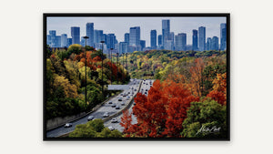 Don Valley Parkway in Full Colour by Martin Elliott, black float frame [fin:float:Black]