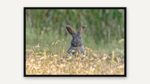 Ear-resistible by Christy Grinton, black float frame [fin:card]