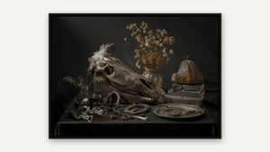 Equus Through the Ages by Debra Garside, black float frame [fin:float:Black]
