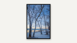 First Light by Lisa Robertson, black float frame [fin:float:Black]