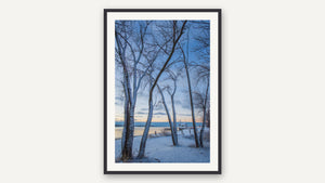 First Light by Lisa Robertson, black picture frame [fin:paper:Black]
