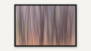 Forest in Motion by Lisa Robertson, black float frame [fin:float:Black]