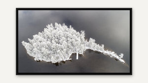 Helen Island, Frosted by Rob Stimpson, black float frame [fin:float:Black]