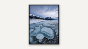 Ice Bubbles, Abraham Lake by Harry Collins, black float frame [fin:float:Black]
