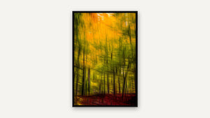 In the Woods by Marni Appel, black float frame [fin:float:Black]