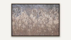 Into the Reeds by Lisa Robertson, whitewashed wood float frame [fin:float:Whitewashed Wood]