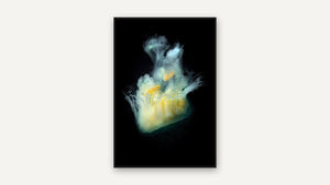 Jellyfish Tangle by Gary Burns, black float frame [fin:float:Black]