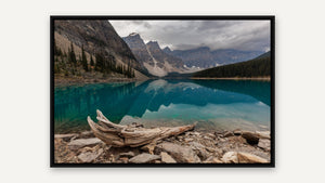 Moraine Lake Driftwood by Harry Collins, black float frame [fin:float:Black]