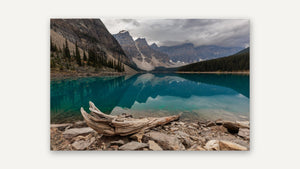 Moraine Lake Driftwood by Harry Collins, print only [fin:none]
