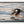Morning Flight by Gen Caron, black float frame [fin:float:Black]