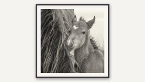 New Beginnings by Debra Garside, black picture frame [fin:paper:Black]
