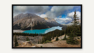 Peyto Lake Lookout by Harry Collins, black float frame [fin:float:Black]