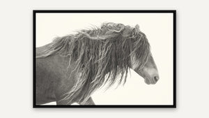 Poetry in Motion by Debra Garside, black float frame [fin:float:Black]