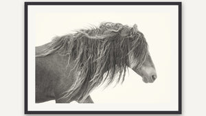 Poetry in Motion by Debra Garside, black picture frame [fin:paper:Black]