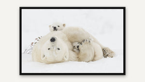 Polar Motherhood by Debra Garside, black float frame [fin:float:Black]
