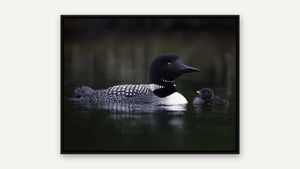 Safe Passage by Missy Mandel, black float frame [fin:float:Black]
