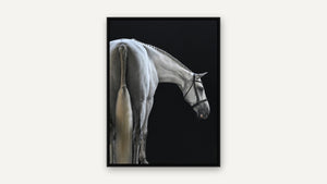 Shades of Grey by Debra Garside, black float frame [fin:float:Black]