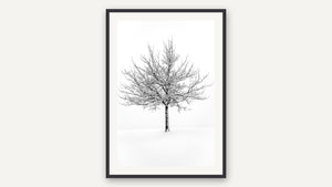 Standing Strong by Marni Appel, black picture frame [fin:paper:Black]