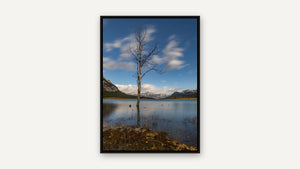 Standing Alone by Harry Collins, black float frame [fin:float:Black]