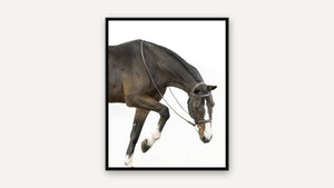 Stepping Out by Debra Garside, black float frame [fin:float:Black]