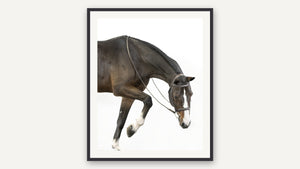 Stepping Out by Debra Garside, black picture frame [fin:paper:Black]