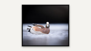 Strike a Pose by Ginette Kew, black float frame [fin:float:Black]