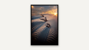 Sunset over the Dunes by Gary Burns, black float frame [fin:float:Black]