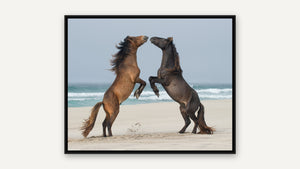 Symmetry: Sable Island by Debra Garside, black float frame [fin:float:Black]