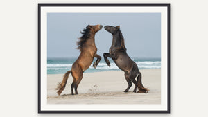 Symmetry: Sable Island by Debra Garside, black picture frame [fin:paper:Black]